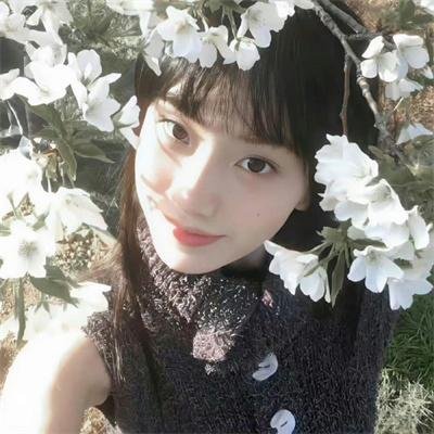 捕狼行动